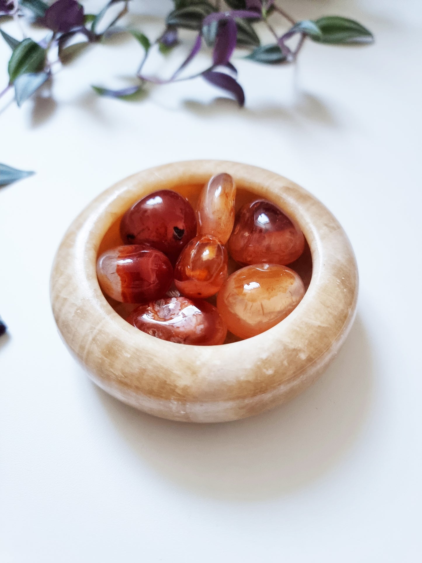 Agata Corniola - Creativity, Vitality, Passion