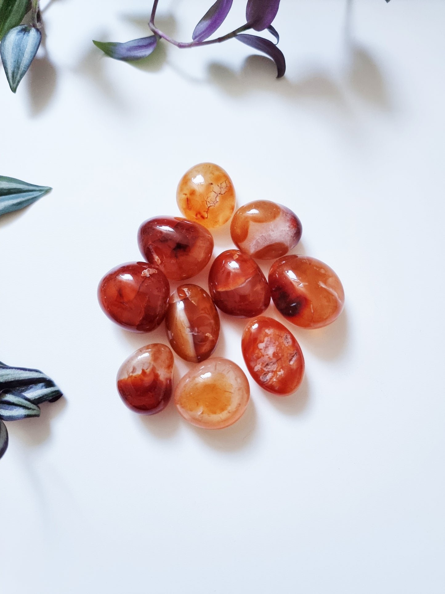 Agata Corniola - Creativity, Vitality, Passion