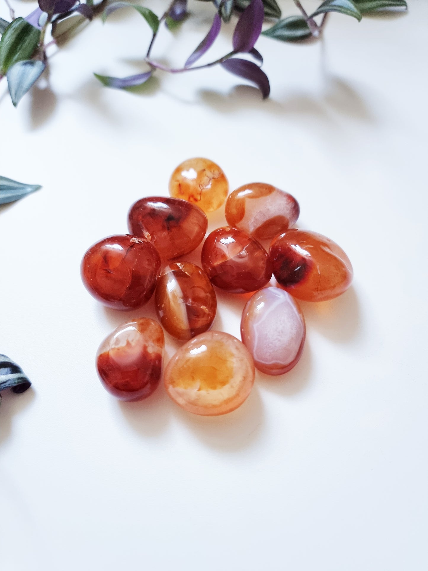 Agata Corniola - Creativity, Vitality, Passion